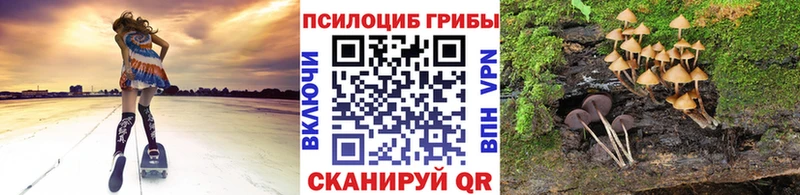 Галлюциногенные грибы Magic Shrooms Медногорск